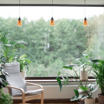 Indoor-Greens