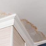 Stains