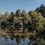 kota-damansara-community-forest-park-1024×671-1