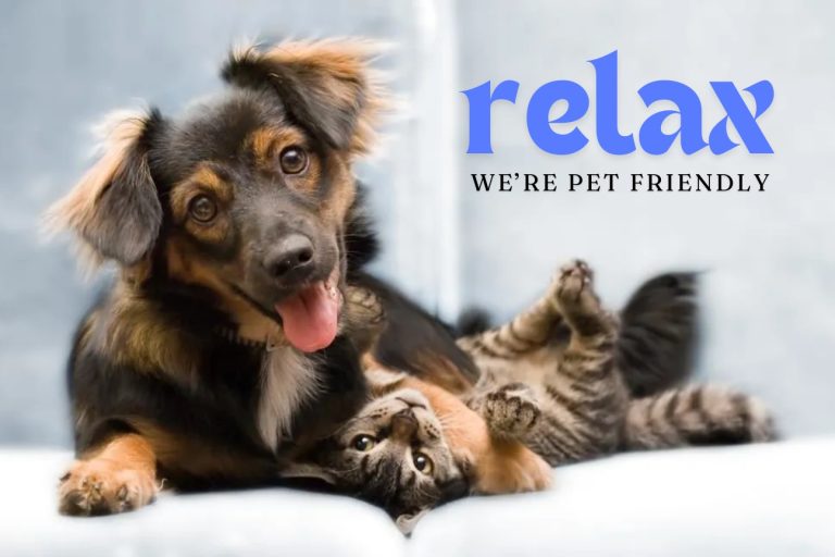 Happy Tails: Condo Living for You and Your Pet